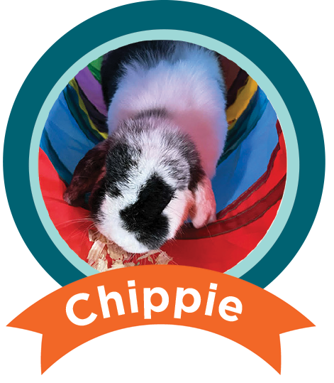Chippie