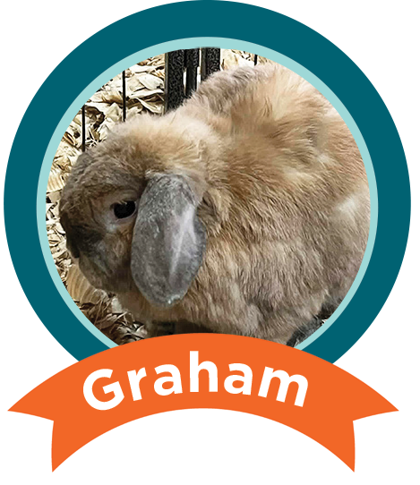 Graham